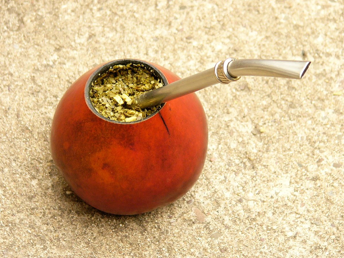 Green Gold: Making Money (and Fighting Deforestation) with Yerba Mate