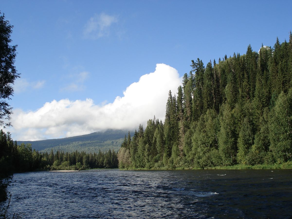 Climate Change and Siberia: No Time for Climate Inaction