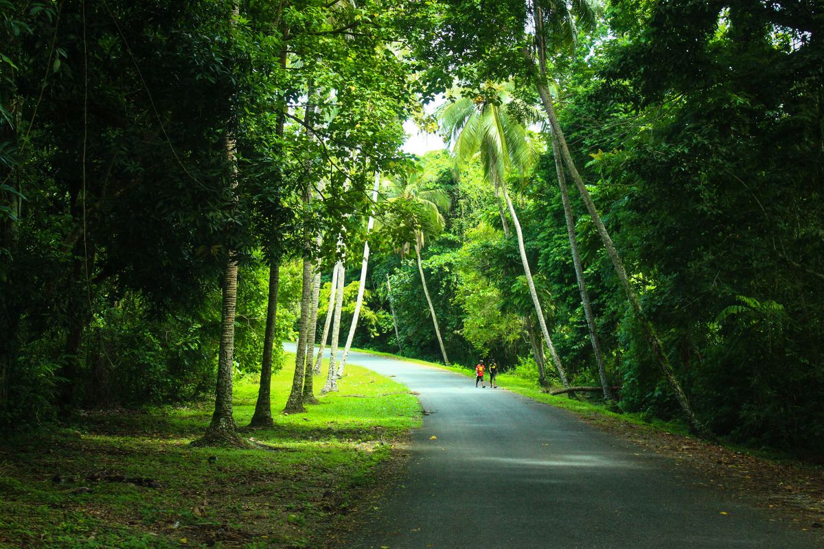 Disconnected: Electrification in Papua New Guinea
