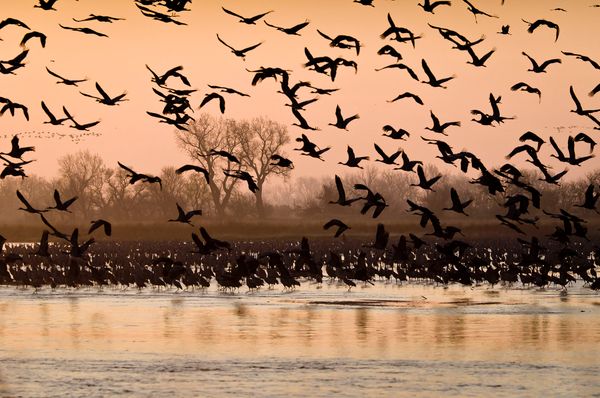 Global Nitrate Water Pollution: Lessons from Nebraska's Platte River Valley and Beyond