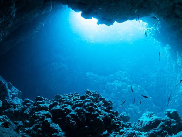 Diamonds are Forever, but the Environment is Not: The Dangers of Deep Seabed Mining