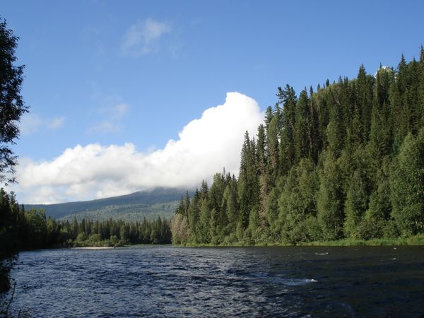 Climate Change and Siberia: No Time for Climate Inaction