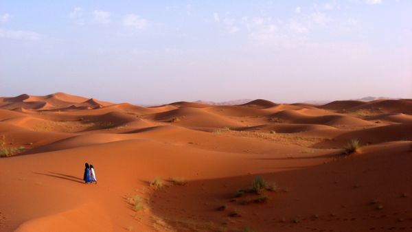 Desert Blues: Tuareg Rock, Tinariwen, and Political Instability in the Sahara