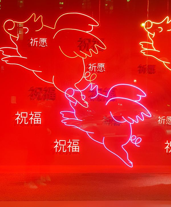 China’s Investment in Pigs: Xenotransplantation on the International Scale
